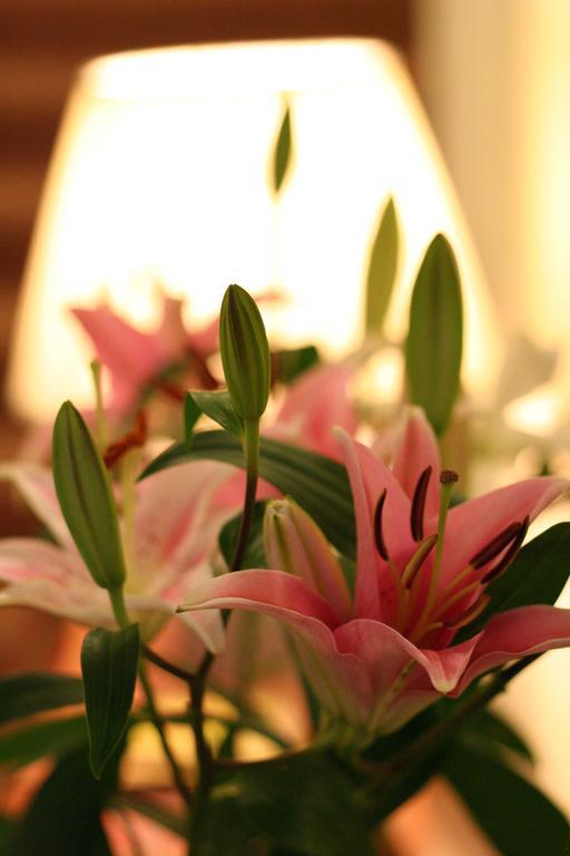 ペンザンス Glencree House Bed & Breakfast 部屋 写真